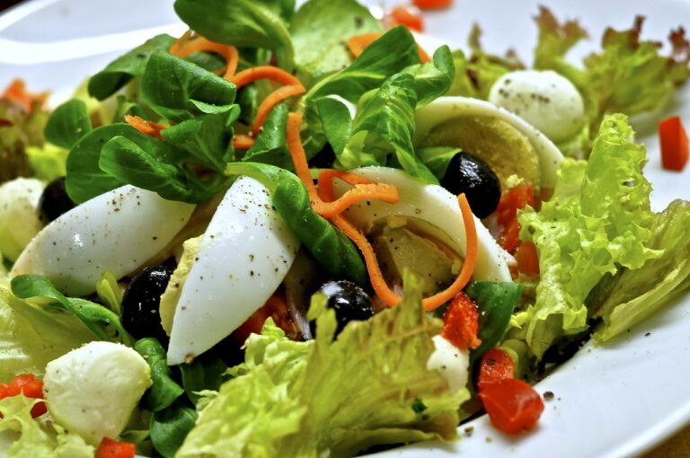 Salade nicoise recipe