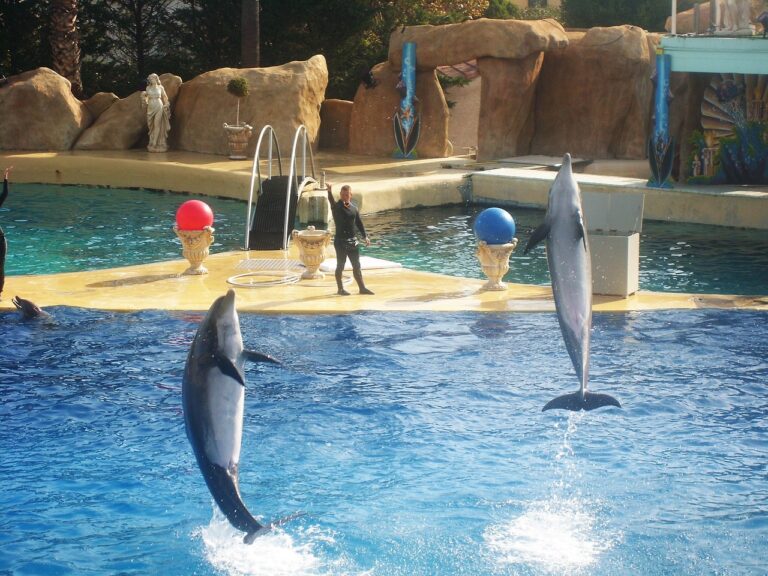 Fermeture du Marineland d'Antibes