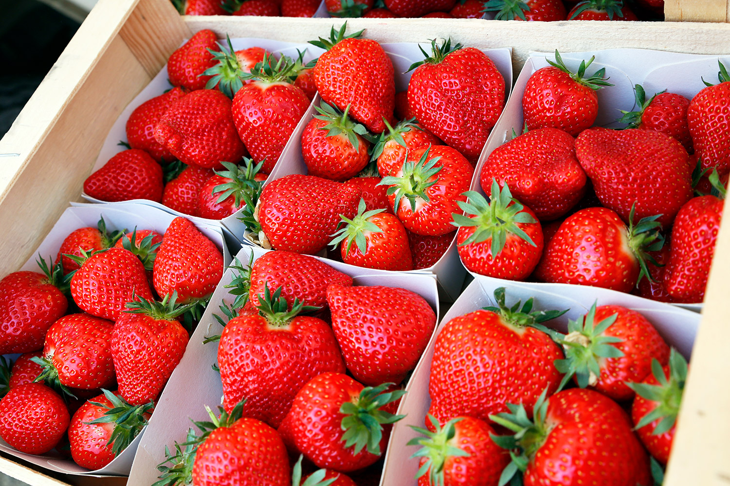 Strawberry Festival on the Cote d'Azur