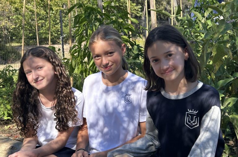 Students at Mougins School
