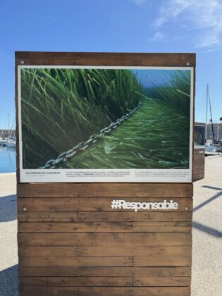 Antibes Posidonia Exhibition
