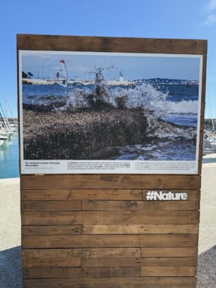Antibes Posidonia Exhibition