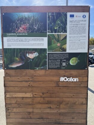 Antibes Posidonia Exhibition