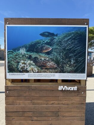 Antibes Posidonia Exhibition