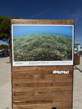 Antibes Posidonia Exhibition