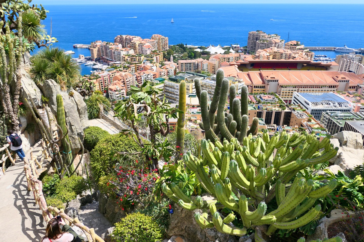 Le Jardin Exotique De Monaco Rouvre Ses Portes Apr s 6 Ans De Travaux 