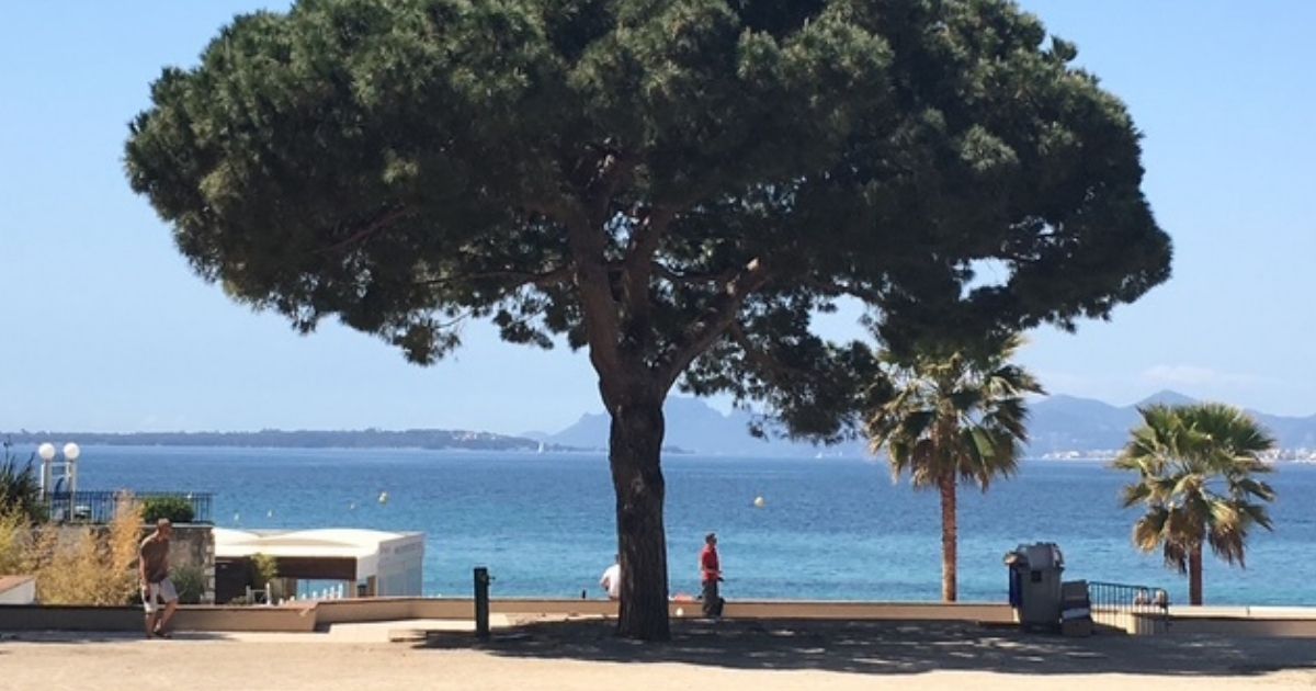 Pinede Gould in Juan-les-Pins