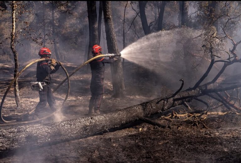 France wildfires
