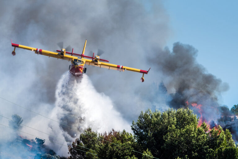 incendies de forêt France